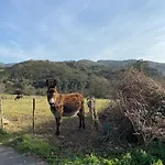 La Costana - San Cucao De Llanera Aguera (Las Regueras, Asturias)