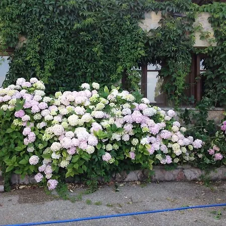 Holiday home La Costana - San Cucao De Llanera