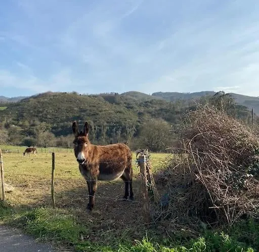 La Costana - San Cucao De Llanera Aguera (Las Regueras, Asturias)