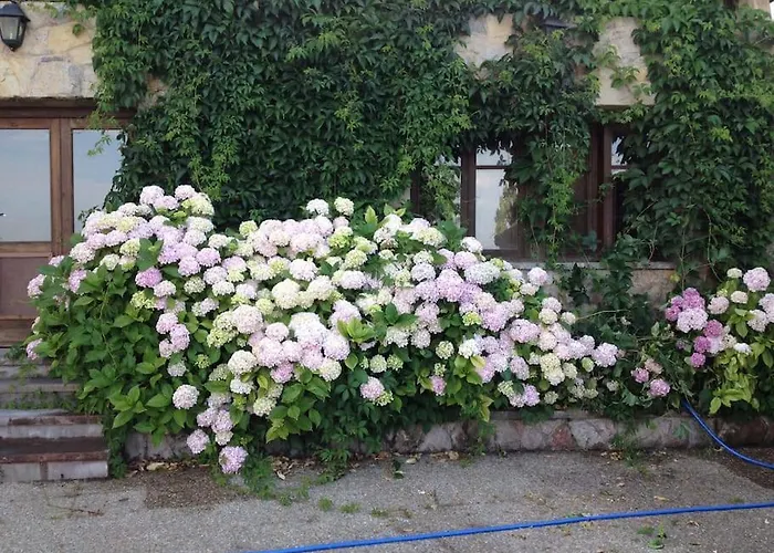 Σπίτι διακοπών La Costana - San Cucao De Llanera